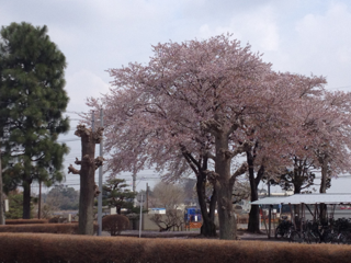 image-20120417151817.png