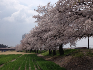 image-20120417152027.png