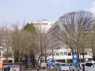 image-20120418124929.png