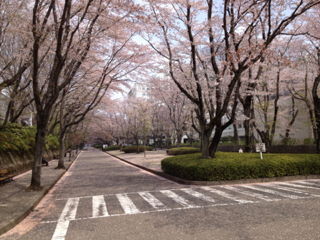 image-20120418125101.png