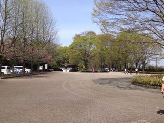 image-20120506062524.png