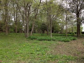 image-20120506063559.png