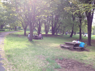 image-20120506063639.png
