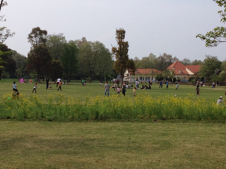 image-20120506063734.png