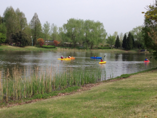 image-20120506064254.png