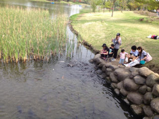 image-20120506065139.png