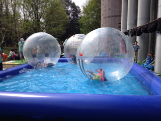 image-20120508061224.png