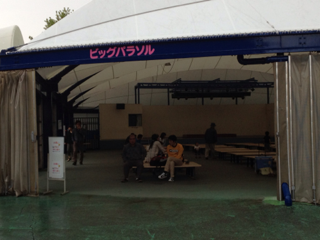 image-20120513060817.png
